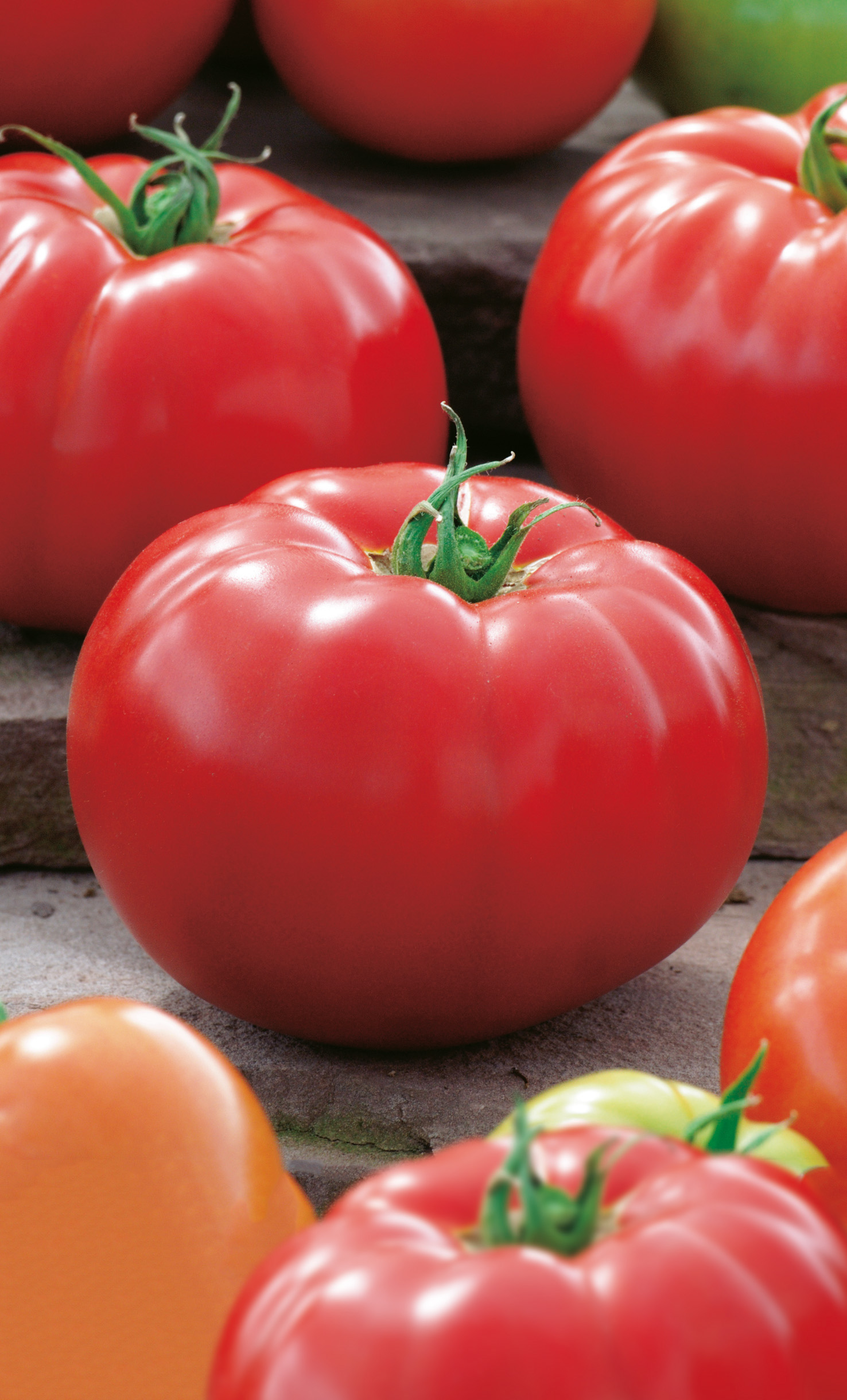 93530_Fleischtomaten Belle F1 Nahaufnahme mehrerer großer, runder, roter Fleischtomaten mit grünem Stielansatz auf rustikalem Holz