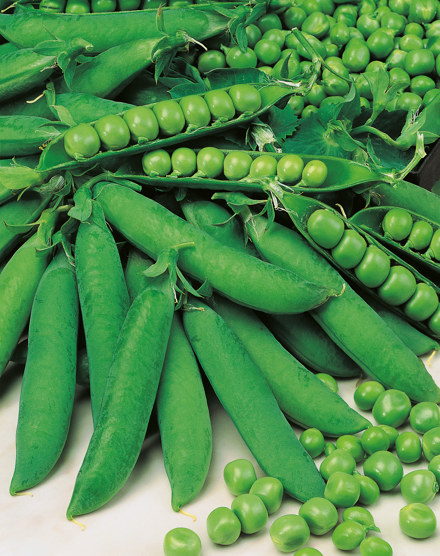 Nahaufnahme von frischen grünen Erbsen in geöffneten und geschlossenen Schoten auf hellem Untergrund, ideal als Produktbild für Lebensmittel und Gemüse