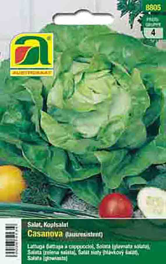 Saatguttüte für Kopfsalat 'Casanova' mit grünem Salatkopf, Herstellerlogo und Gemüsedekor