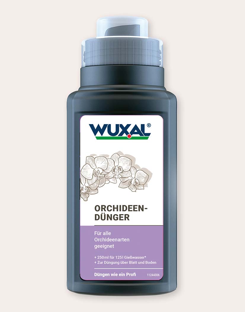 WUXAL Orchideendünger 250 ml – dunkle Kunststoffflasche mit weißem Etikett und lila Bereich, Aufschrift und Hinweis ‚Für alle Orchideenarten‘ sichtbar
