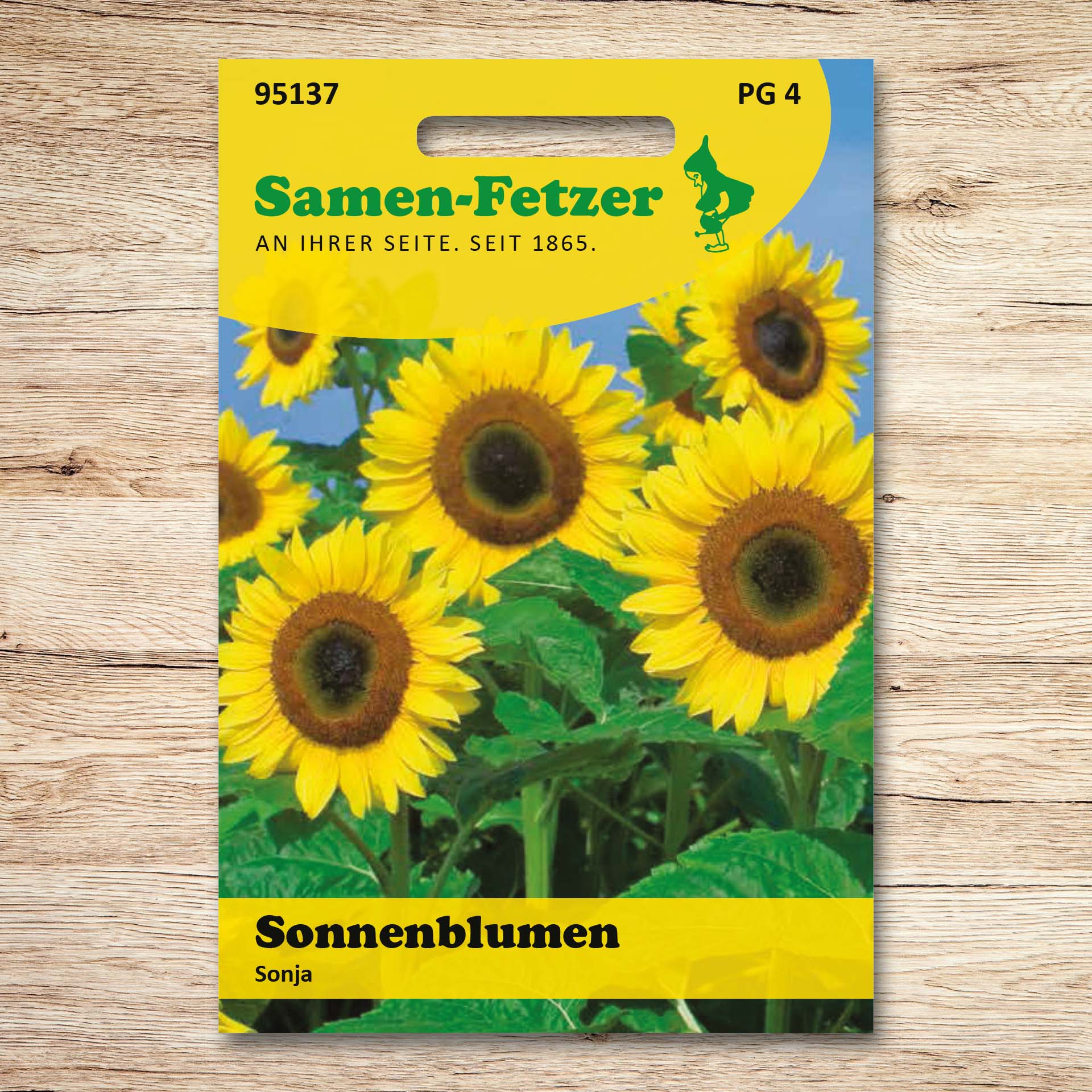 Sonnenblumen Sonja
