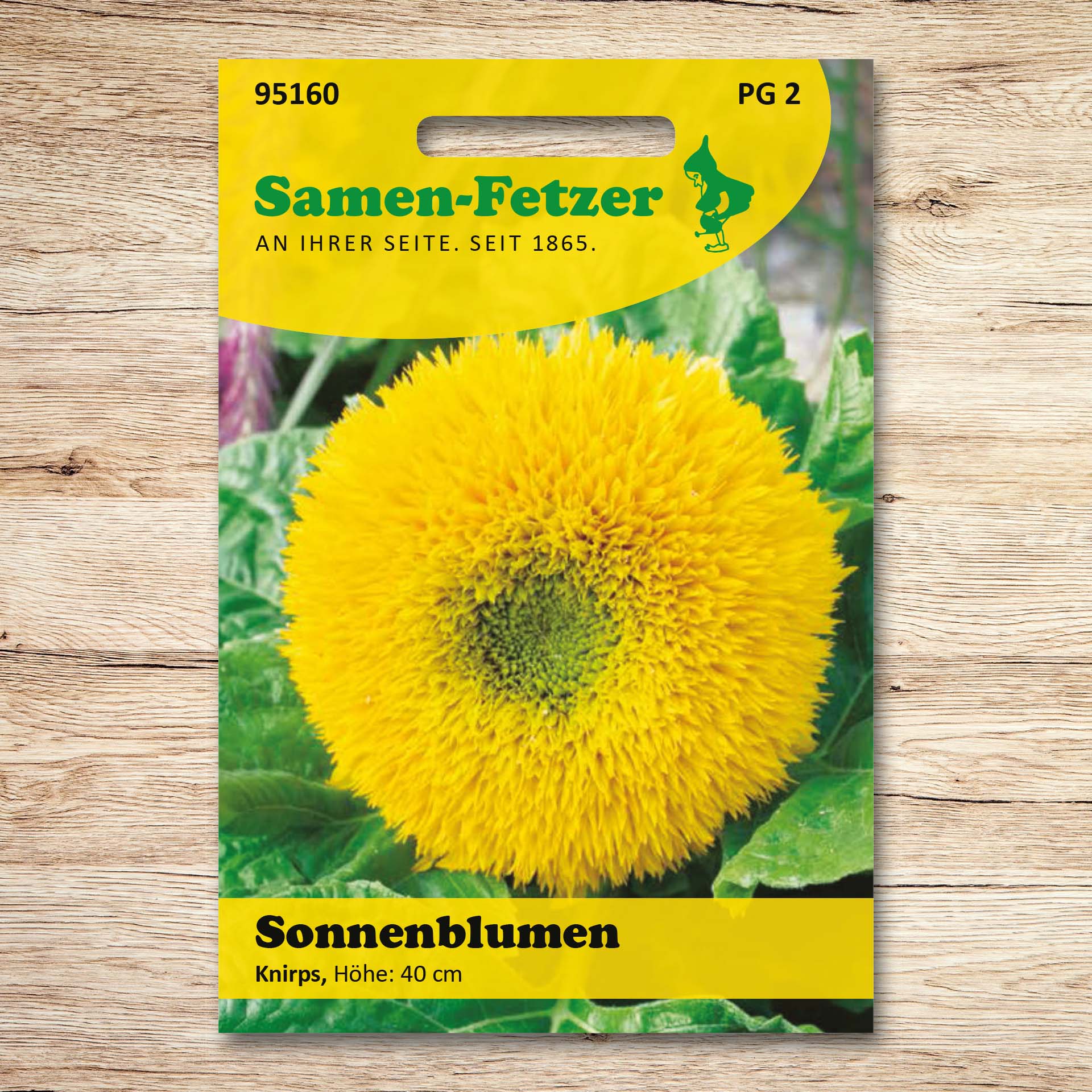 Sonnenblumen Knirps