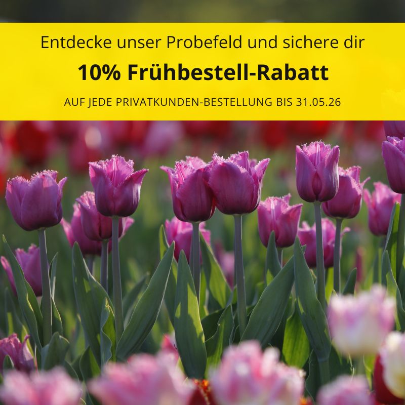 10% Frühbestell-Rabatt auf Frühjahrsblüher