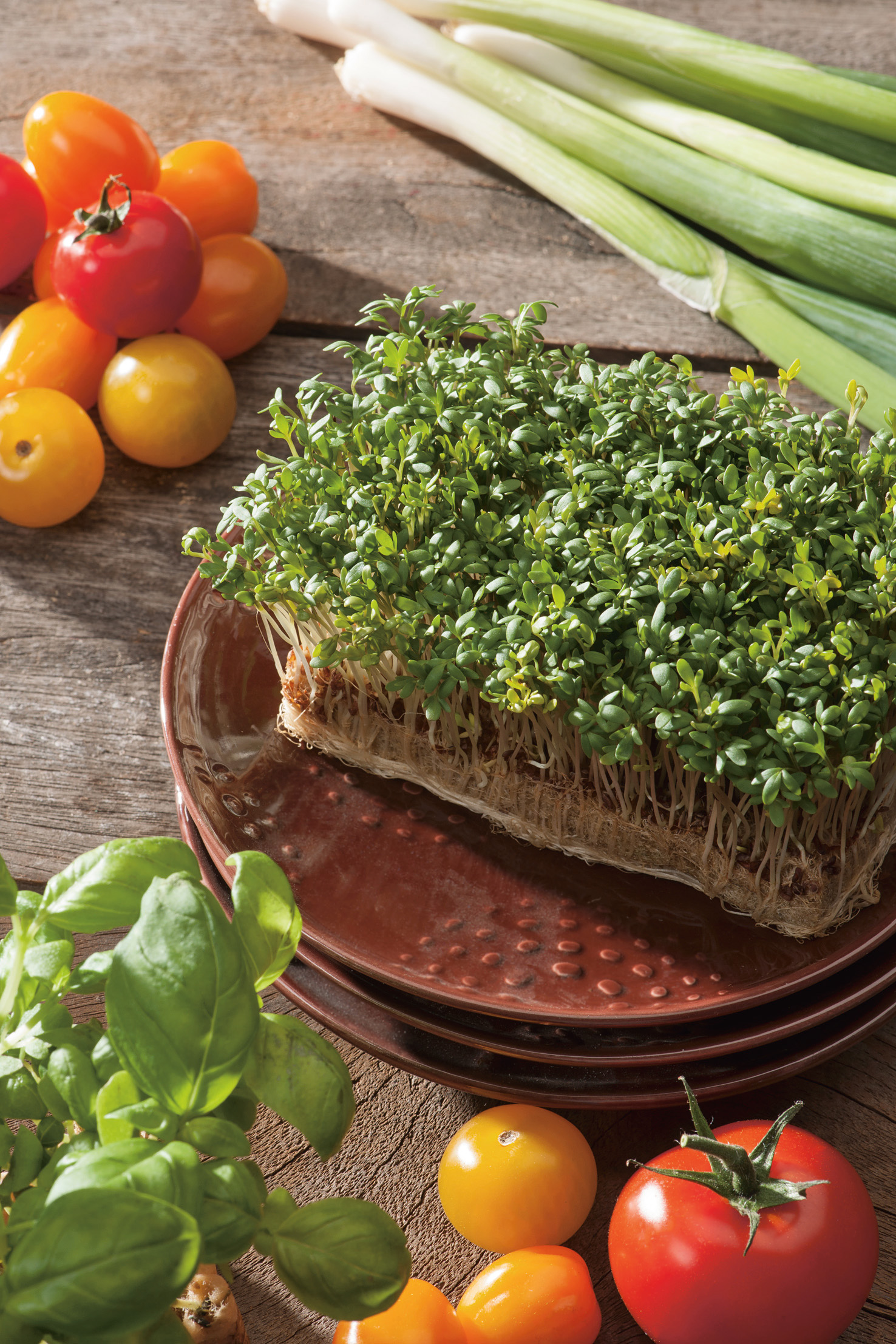 Kresse-Microgreens im Wurzelblock auf braunem Teller, umgeben von Cherry‑Tomaten, Basilikum und Frühlingszwiebeln auf rustikalem Holztisch