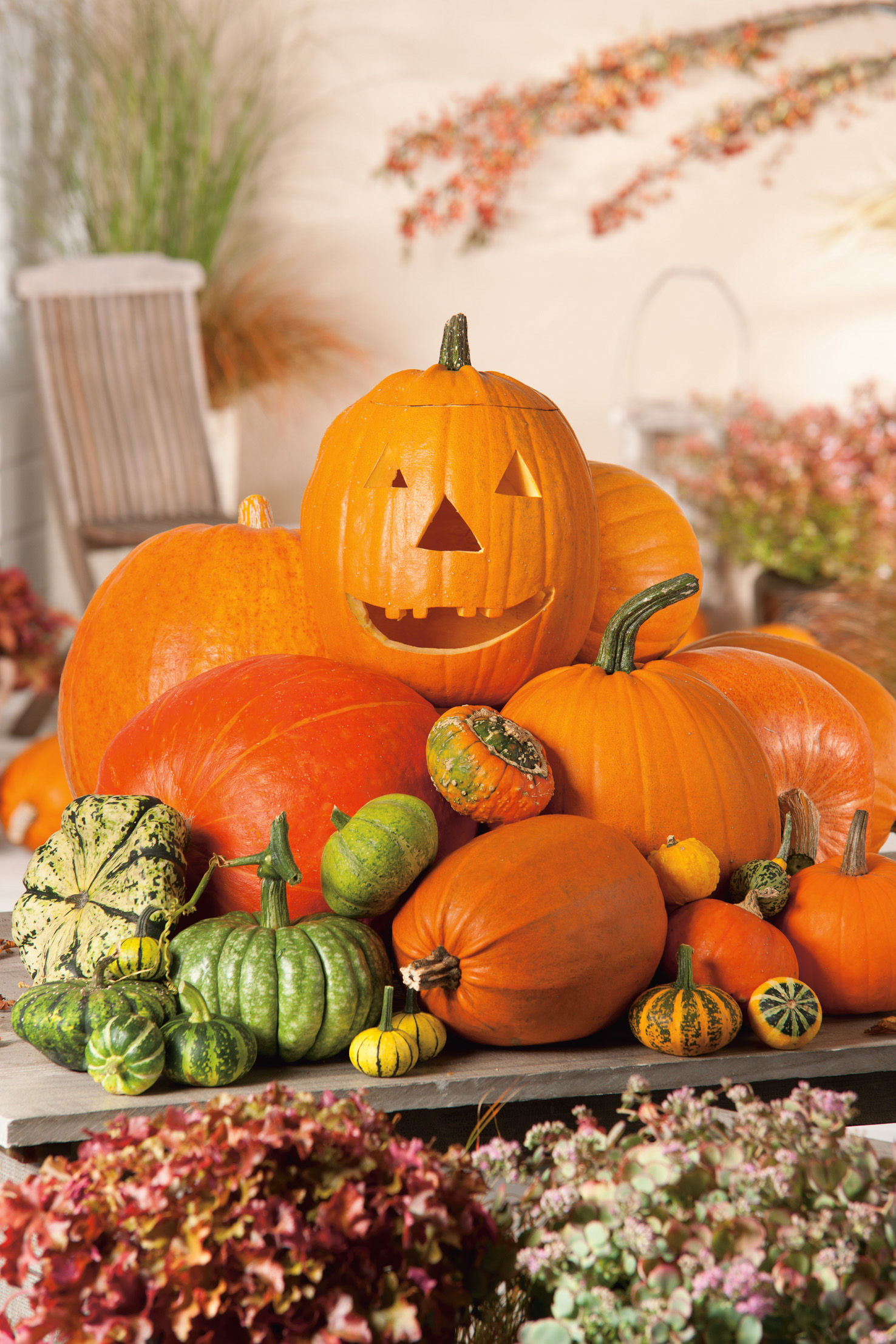 Herbstliche Kürbis- und Zierkürbis-Dekoration mit geschnitztem Halloween-Kürbis auf Holztablett, verschiedenen Orangen- und Grüntönen sowie herbstlichen Blumen im Vordergrund