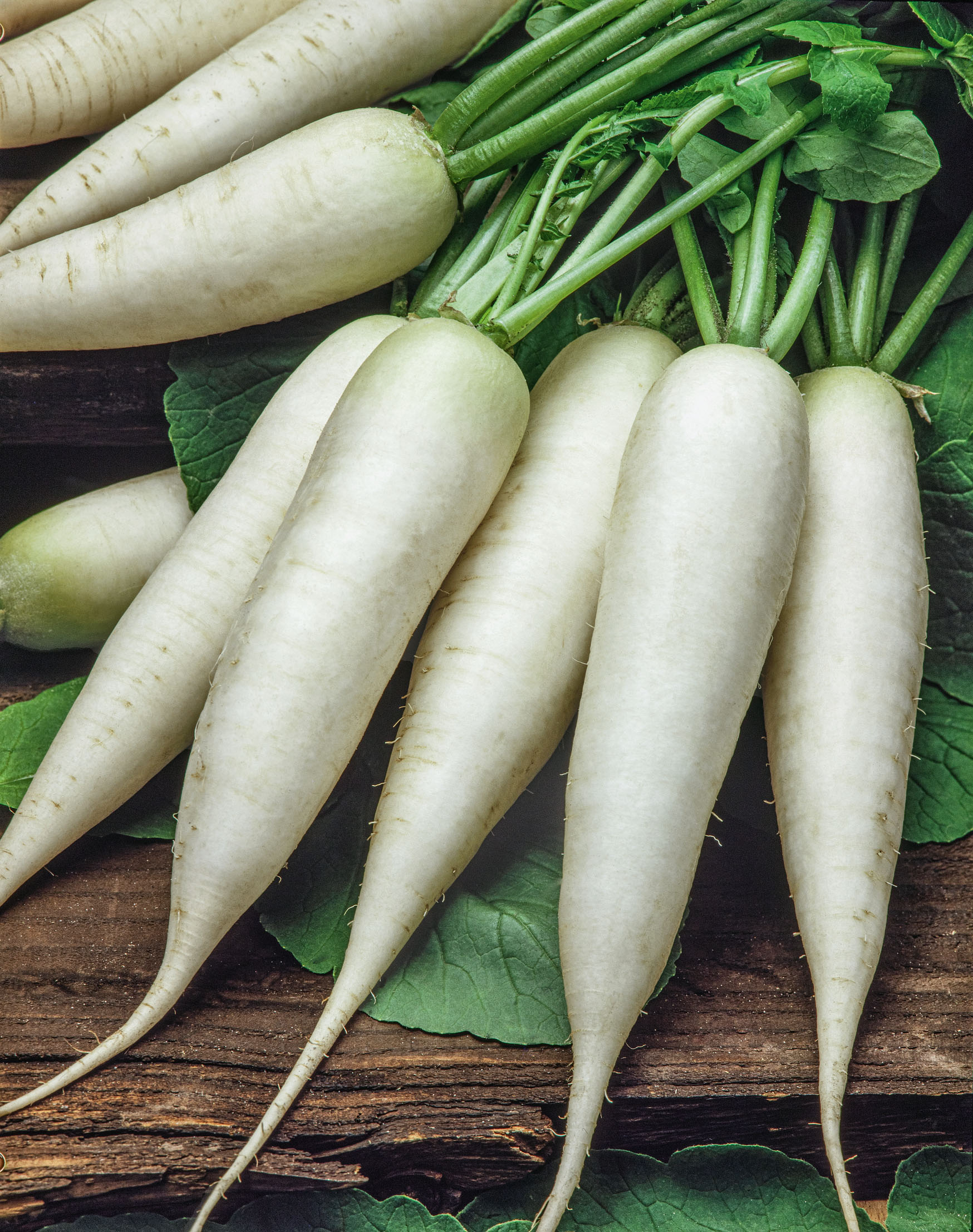 Bündel frischer weißer Rettiche (Daikon) mit grünen Blättern auf Holzuntergrund