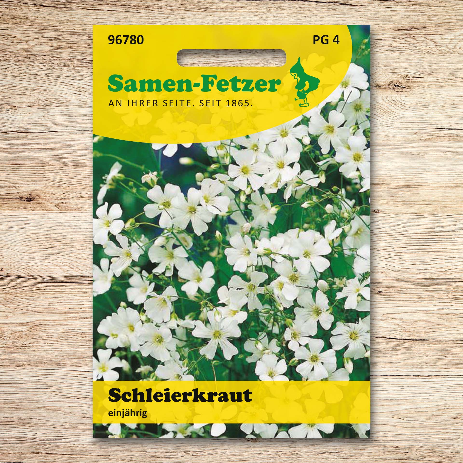 Schleierkraut einjährig