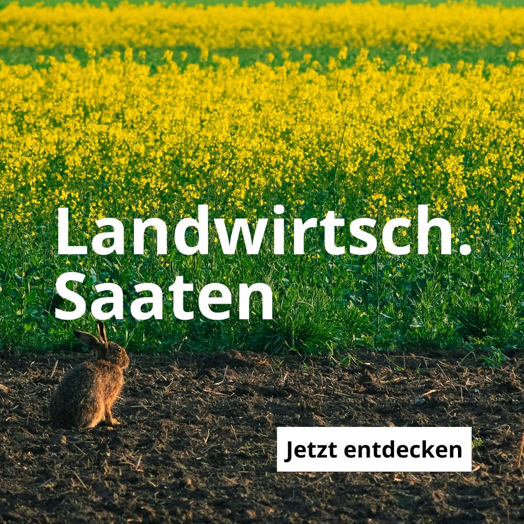 Landwirtschaftliche Saaten