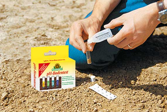 Hände entnehmen Bodenprobe aus sandigem Gartenboden mit Reagenzglas, daneben pH-Bodentest-Kit, Teststreifen, Farbvergleichsskala und Verpackung.