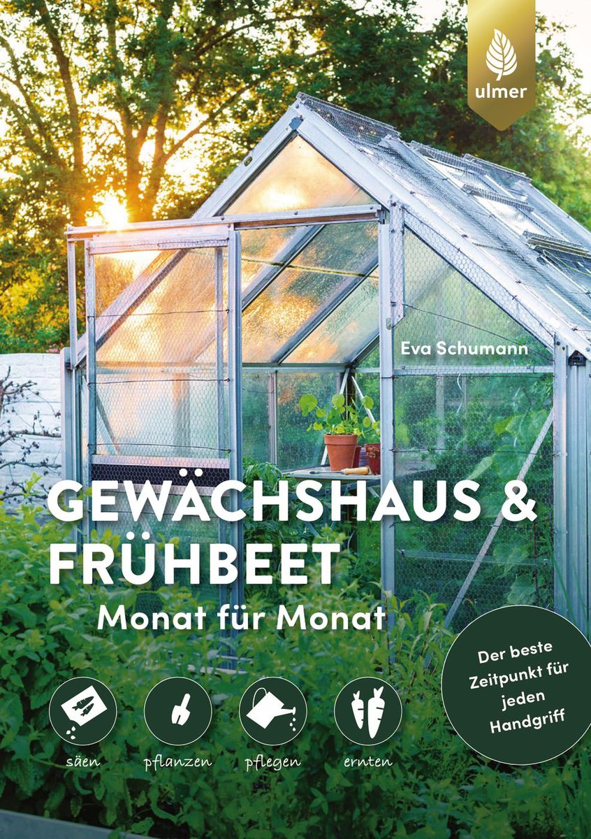 Buchcover eines Gartenratgebers mit einem Glasgewächshaus im Sonnenlicht, grünen Pflanzen im Frühbeet und der Aufschrift 'Gewächshaus & Frühbeet Monat für Monat' sowie Symbolen für säen, pflanzen, pflegen und ernten