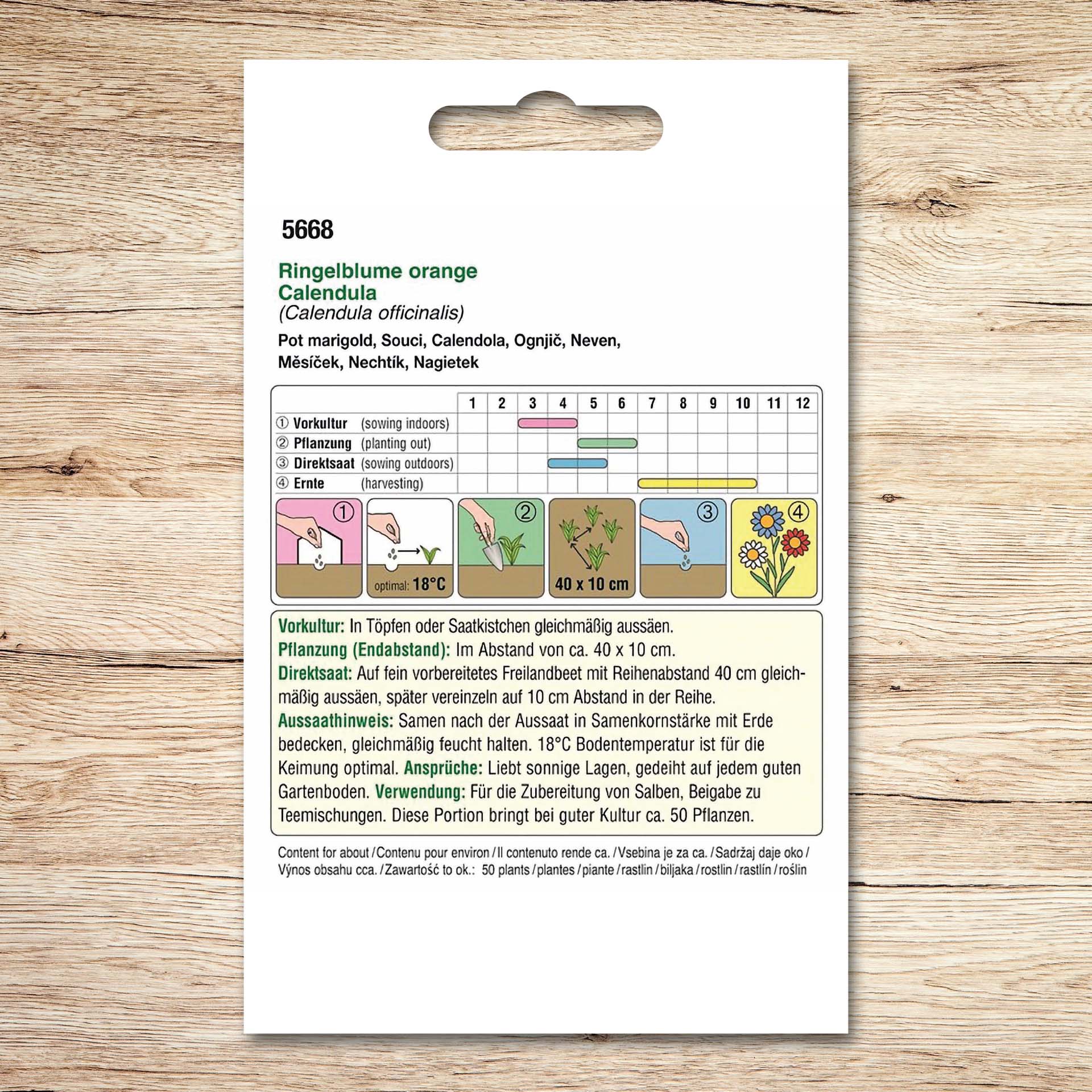 Ringelblume (Bio) Ringelblume