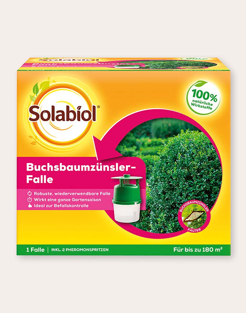 Produktverpackung Solabiol Buchsbaumzünsler-Falle, gelb-pinke Verpackung mit Bild eines Buchsbaums, grün-weißem Fangbehälter, Hinweis '100% natürliche Wirkstoffe', inkl. 2 Pheromonspritzen