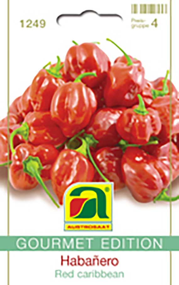 Samenpäckchen Habañero 'Red Caribbean' (Gourmet Edition) mit mehreren roten Habañero-Chilis und grünen Stielen vor hellem Hintergrund