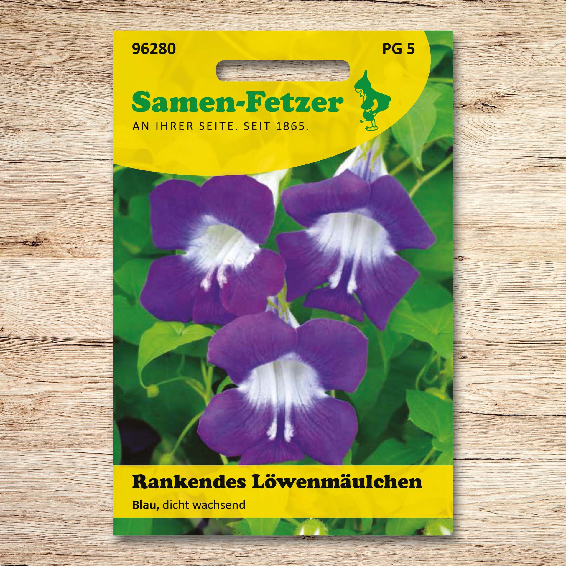 Rankendes Löwenmäulchen Dicht wachsend