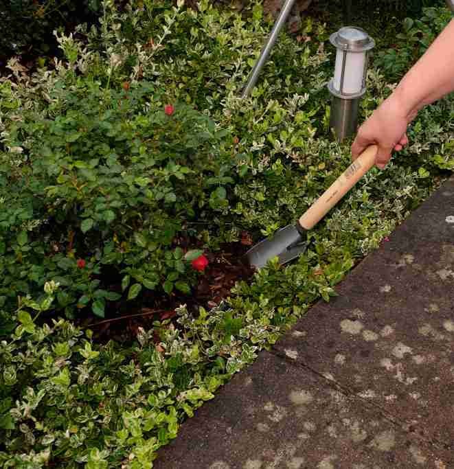 Hochbeet-Gartengerät Blumenkelle