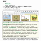 Ansicht einer Software-Benutzeroberfläche mit Editorfenster, markiertem Text 'Beliebteste Seite mit wichtigsten Sätzen', Werkzeugleiste oben und Navigationsbereich links