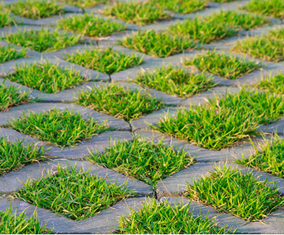 Rasensamen Schotterrasen/Formsteinbegrünung