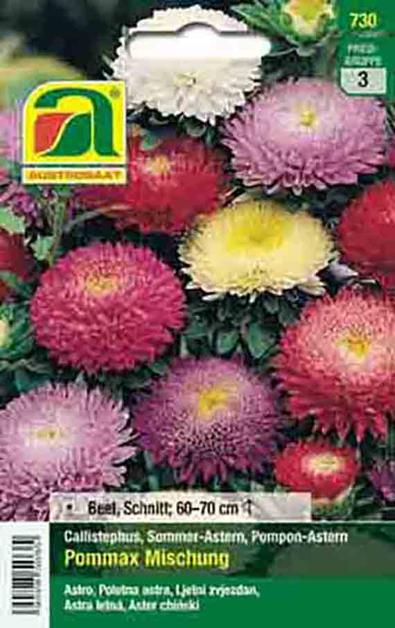 Saatgut-Tüte mit Pompon-Astern 'Pommax' Mischung, bunte Blüten (rosa, weiß, gelb), Wuchshöhe 60-70 cm, Callistephus (Sommer-Astern)