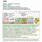 Samentüte Nigella (Bio) Jungfer im Grünen mit blauen und weißen Blüten, dekorativen Samenkapseln und bienenfreundlicher Sommerblume für Bienen, Hummeln und Schmetterlinge