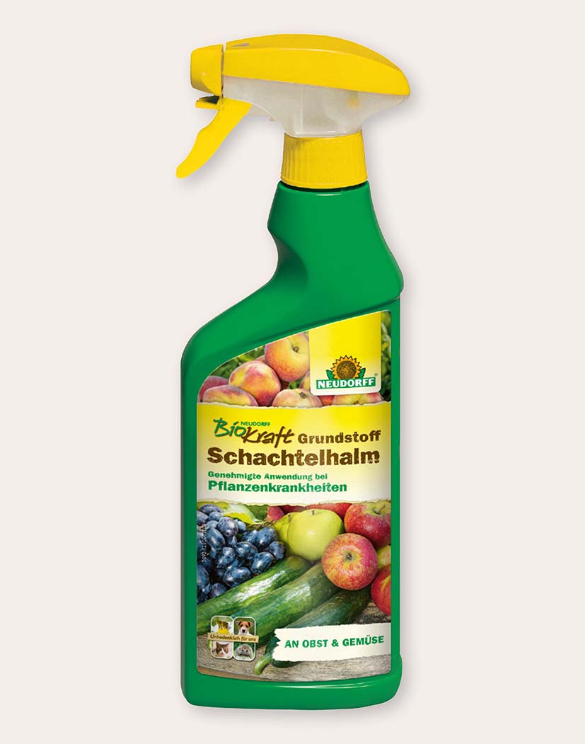 Sprühflasche Neudorff BioKraft Grundstoff Schachtelhalm, grüne Flasche mit gelbem Sprühkopf und Etikett mit Früchten und Gemüse, für Pflanzenschutz und Stärkung von Obst und Gemüse