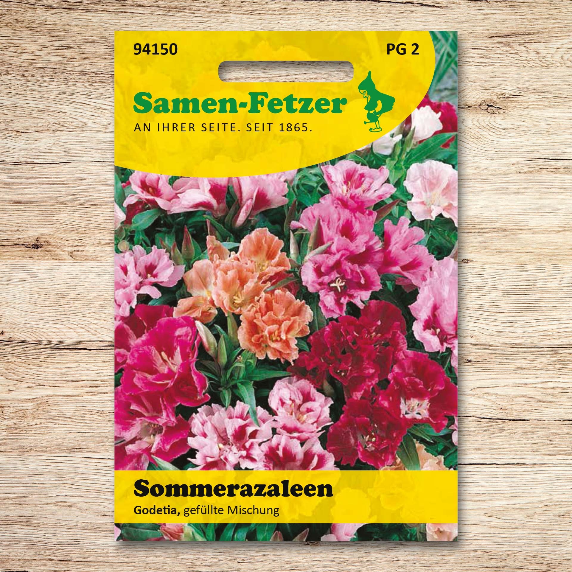 Sommerazaleen Godetia