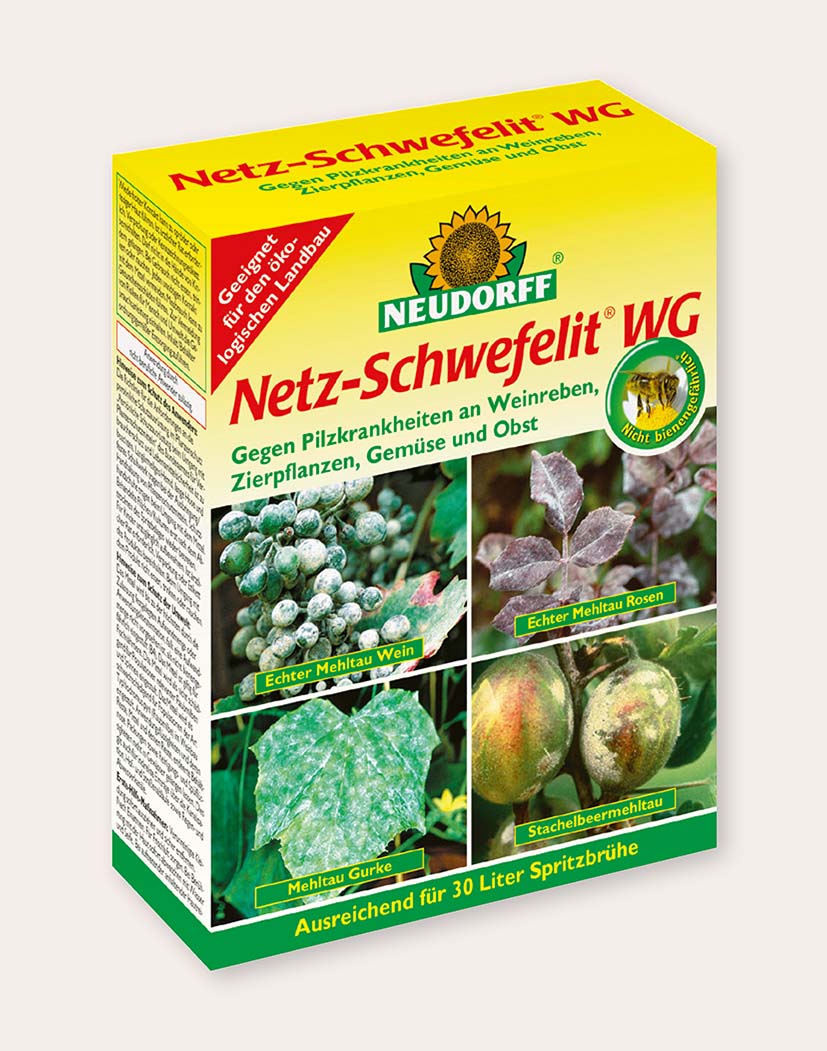 Produktverpackung: Neudorff Netz-Schwefelit WG, Schwefel-Fungizid zur Bekämpfung von echtem Mehltau an Weinreben, Rosen, Gurken und Stachelbeeren; ausreichend für 30 Liter Spritzbrühe.