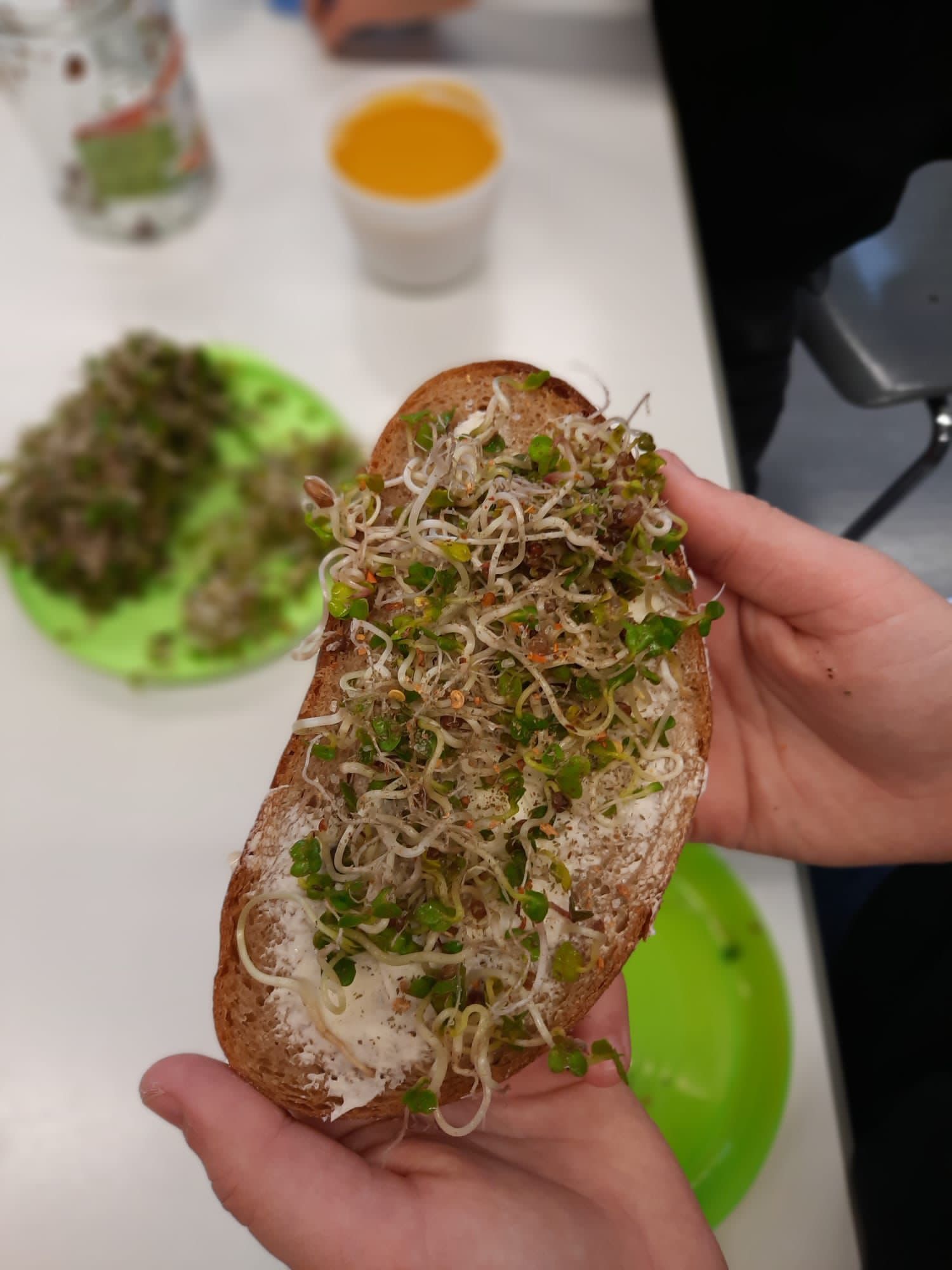 Hand mit einem Stück Brot, belegt mit Sprossen und einer schaumigen Creme