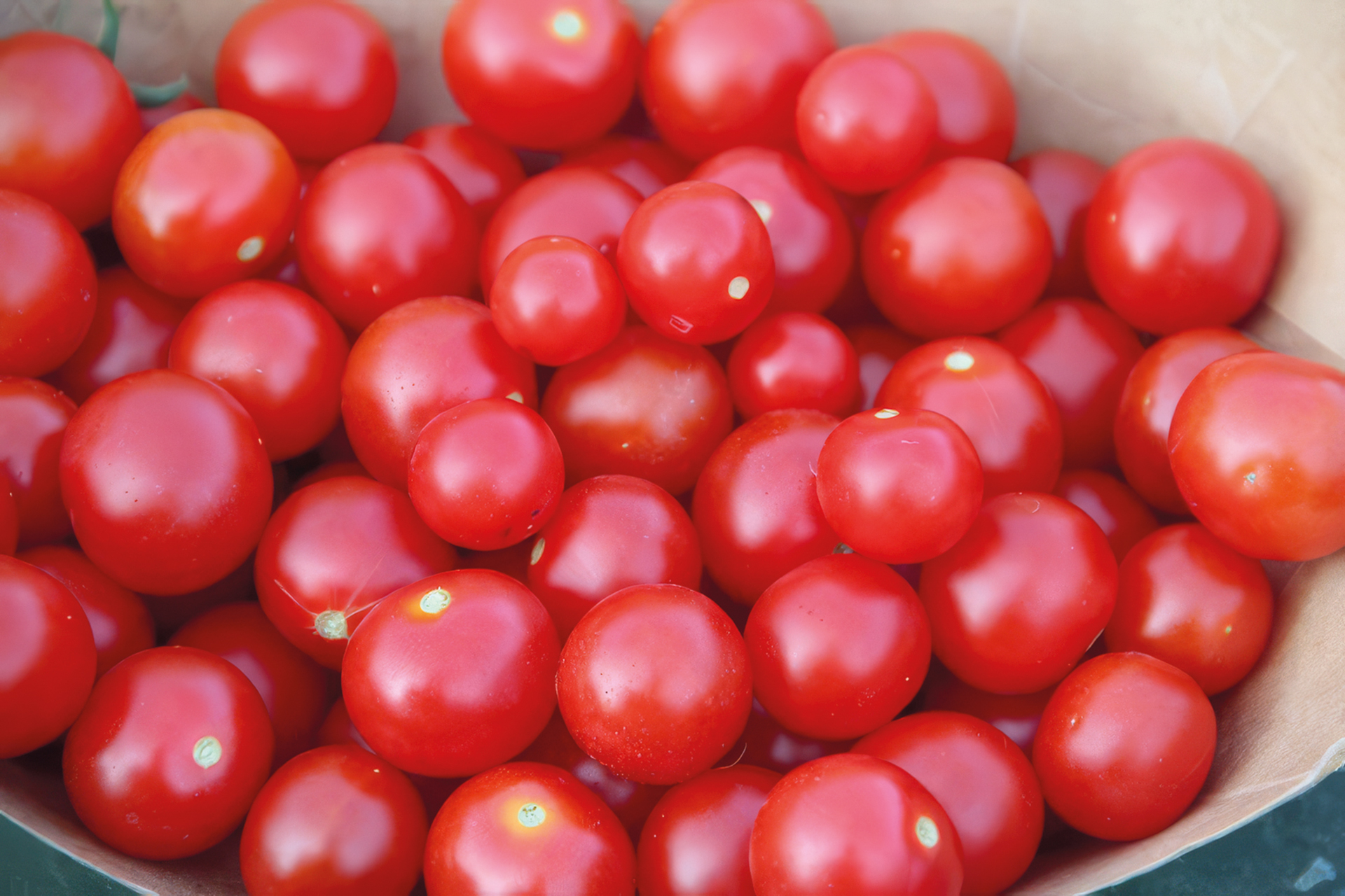 Balkontomate Bajaja