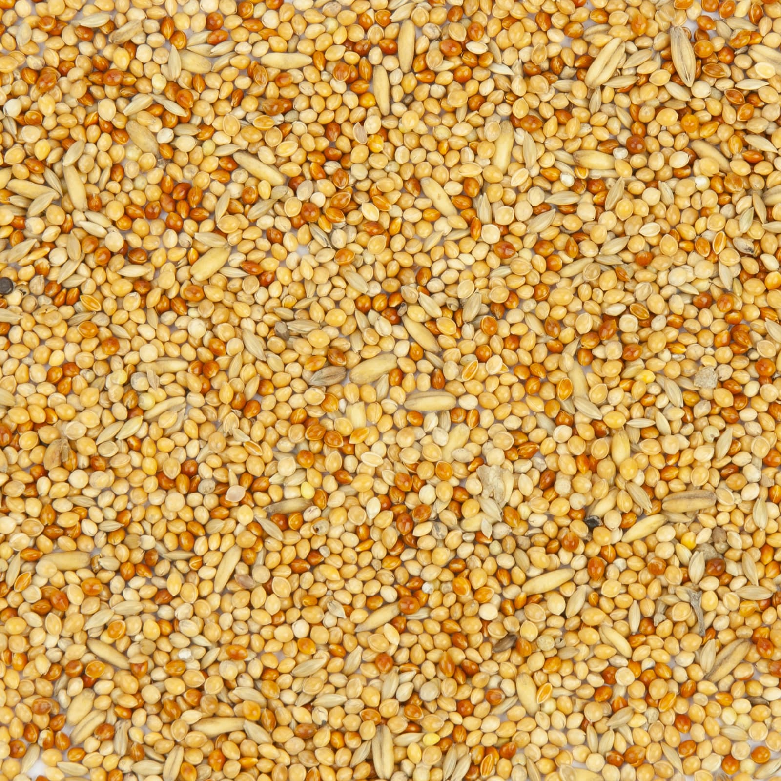 Nahaufnahme einer hellgelb-orangenen Vogelfuttermischung mit Hirse, kleinen Körnern und Sonnenblumenkernen
