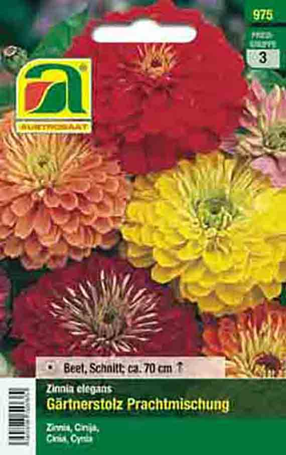 Saatgut-Tüte mit Zinnien 'Gärtnerstolz' Prachtmischung: mehrere bunte Zinnienblüten in Gelb, Rot und Orange, Packungsvorderseite mit Herstellerlogo und Hinweis Höhe ca. 70 cm