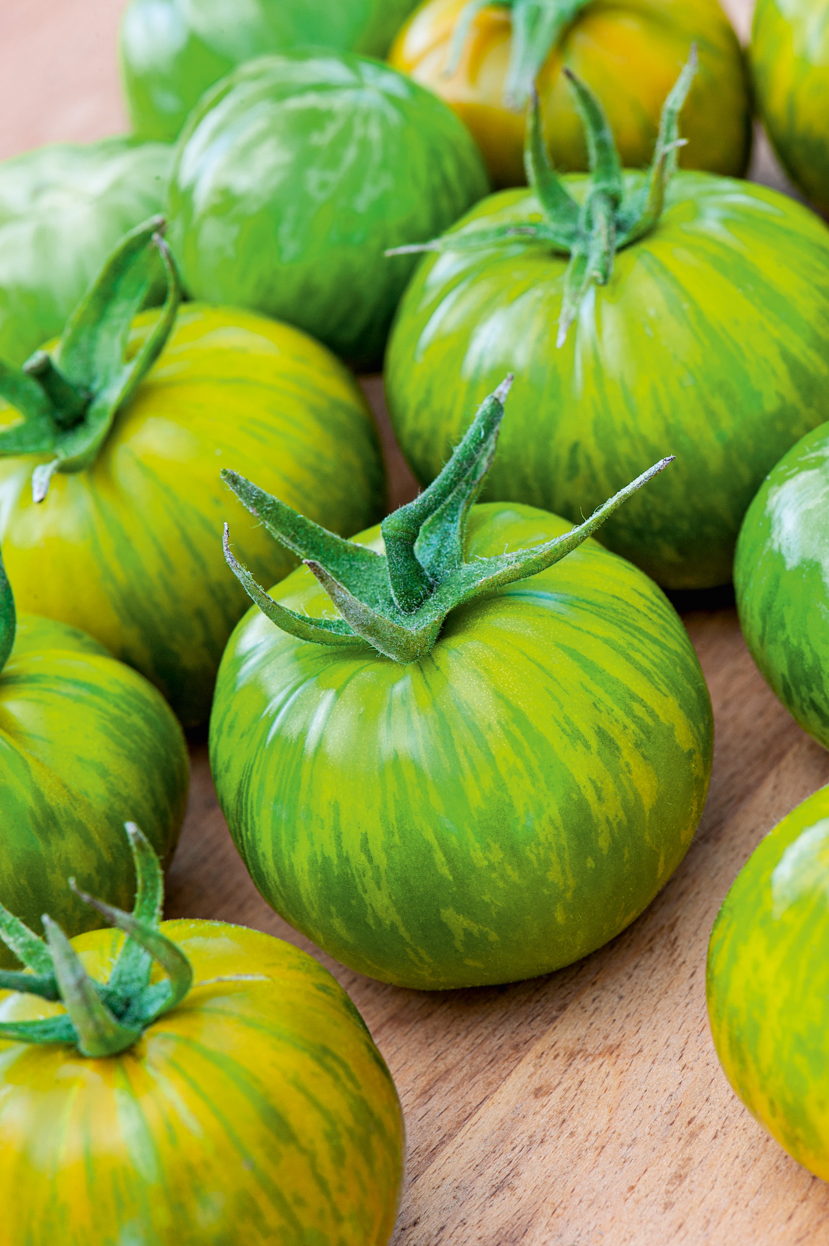 Mehrere grün-gelb gestreifte Früchte der historischen Tomatensorte Green Zebra von Samen-Fetzer, eine ertragreiche Stabtomate mit saftigem, süß-würzigem Fruchtfleisch, ideal für Salate.