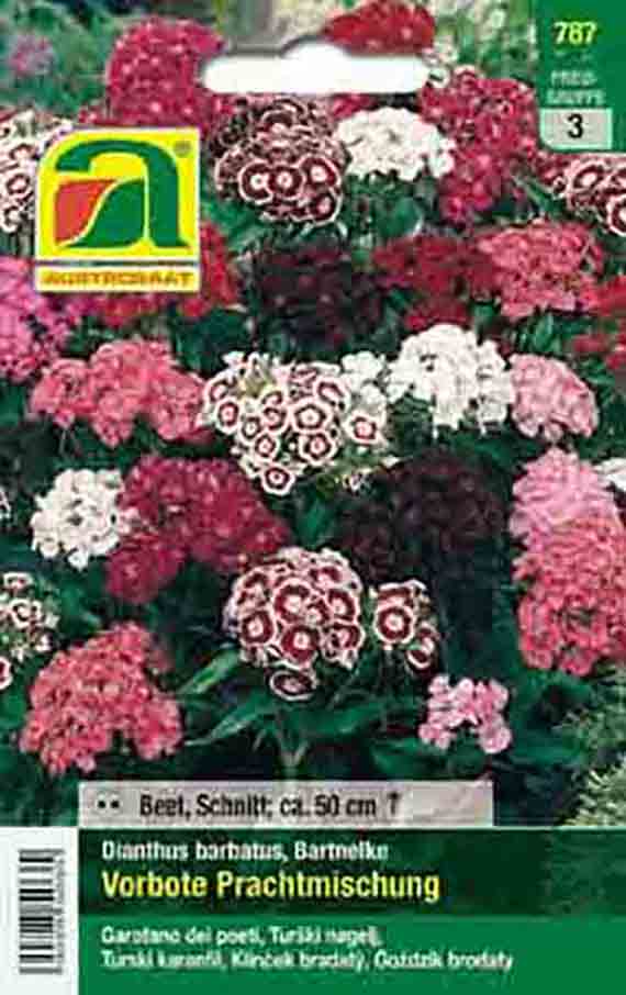 Saatgutpackung: Dianthus barbatus (Bartnelke) 'Vorbote' Prachtmischung mit rosa, weiß und roten Blüten, empfohlen für Beet und Schnitt, Höhe ca. 50 cm