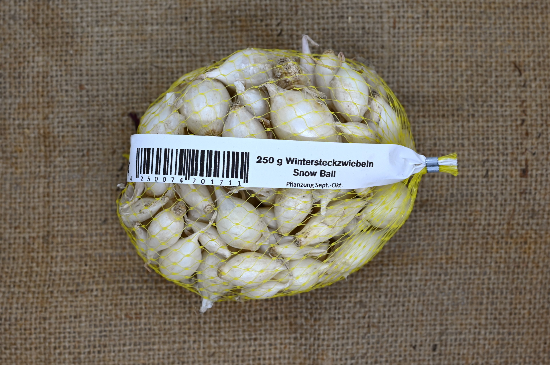 250 g Wintersteckzwiebeln Snow Ball im gelben Netzbeutel auf Juteuntergrund, Pflanzung Sept.–Okt., Nahaufnahme