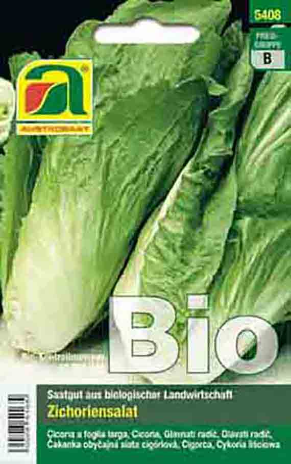 Vorderseite einer Bio-Samenpackung für Zichoriensalat (Chicorée), Saatgut aus biologischer Landwirtschaft