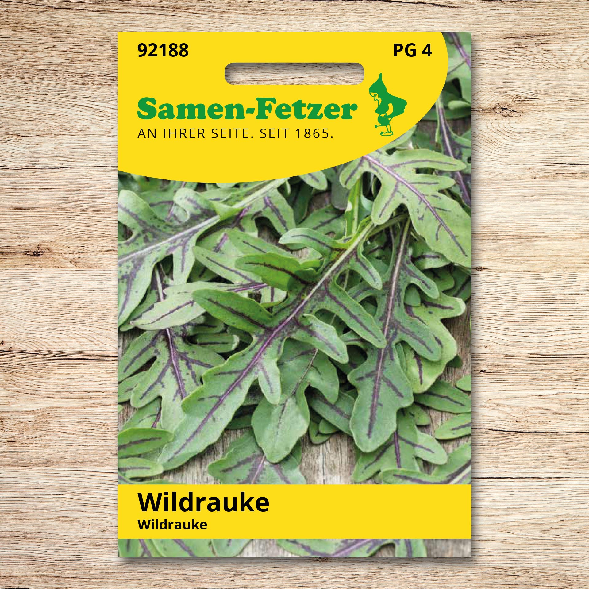 Saatgut Wildrauke Dragon Tongue von Samen-Fetzer – grüne, fein gezahnte Blätter mit rot-violetten Blattadern, auch Zunge des Drachen, nussig-pikante Rauke