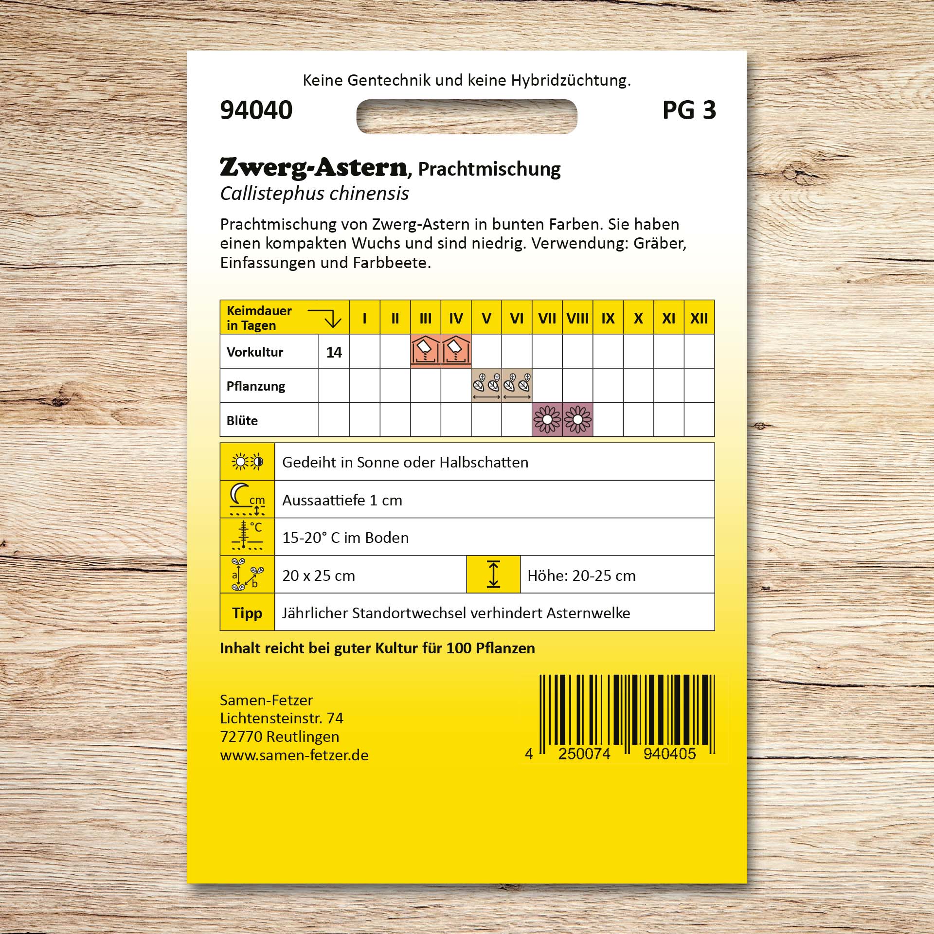 Zwergastern Prachtmischung
