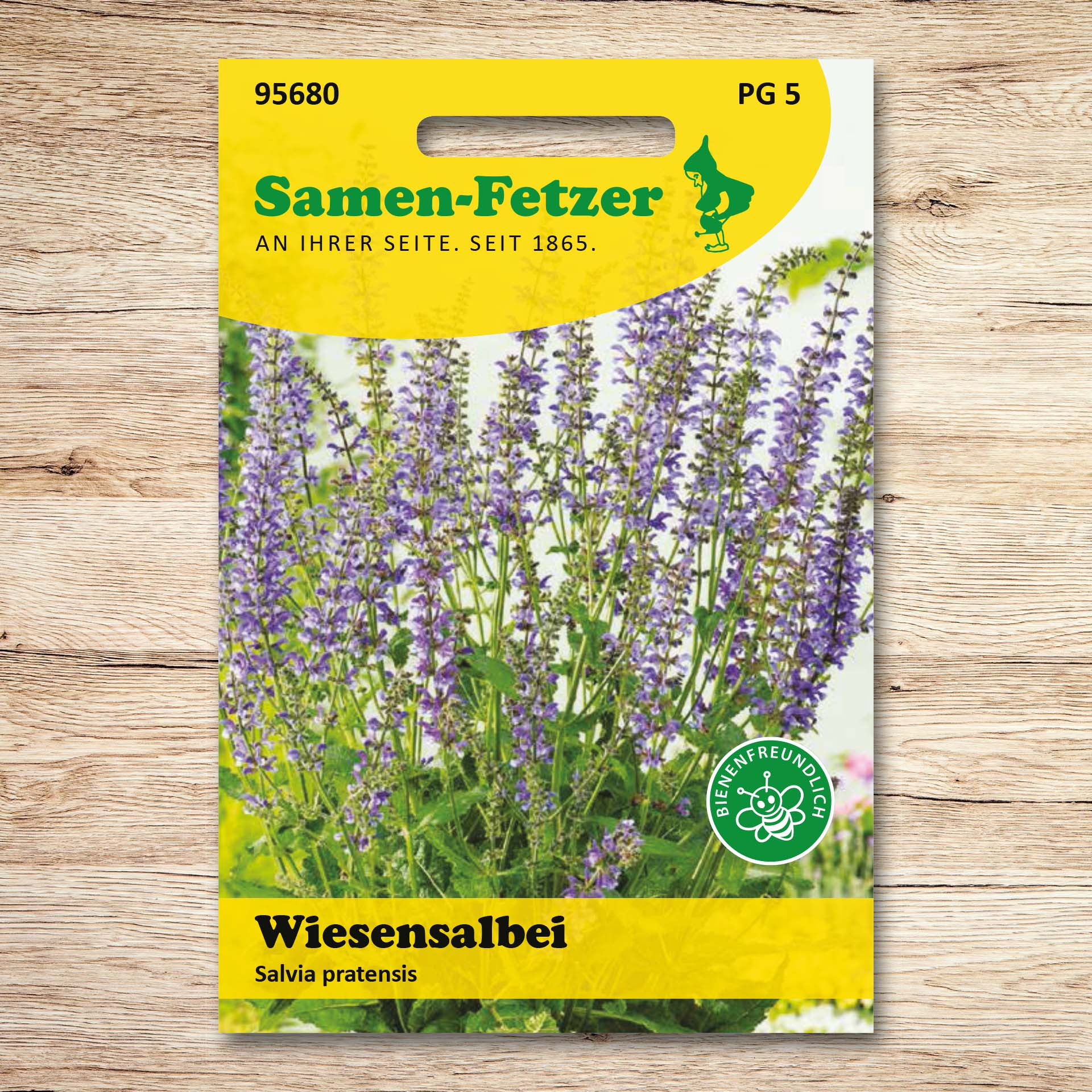 Wiesensalbei
