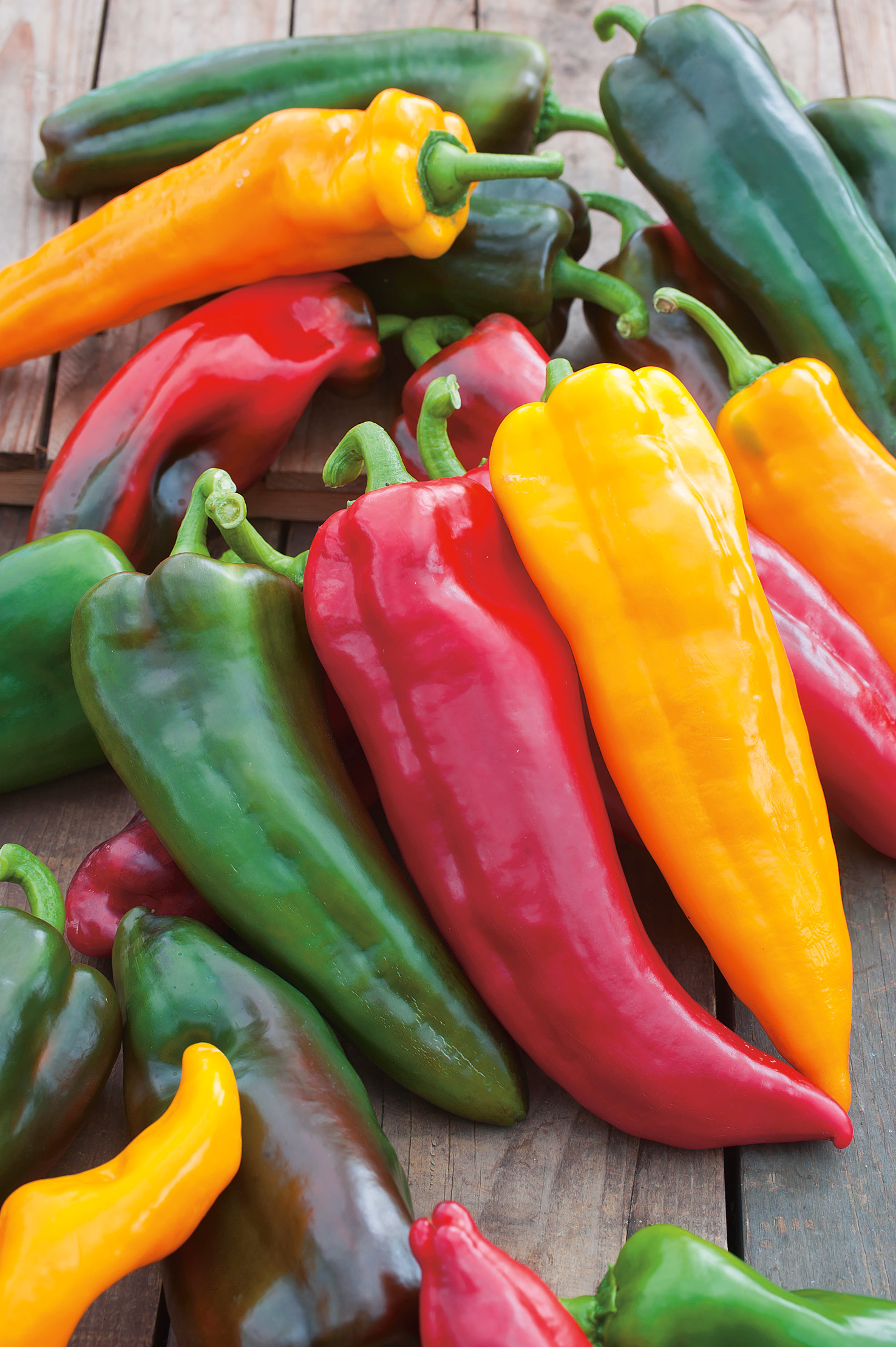 Nahaufnahme verschiedener frischer Paprika in Rot, Gelb und Grün auf rustikalem Holztisch