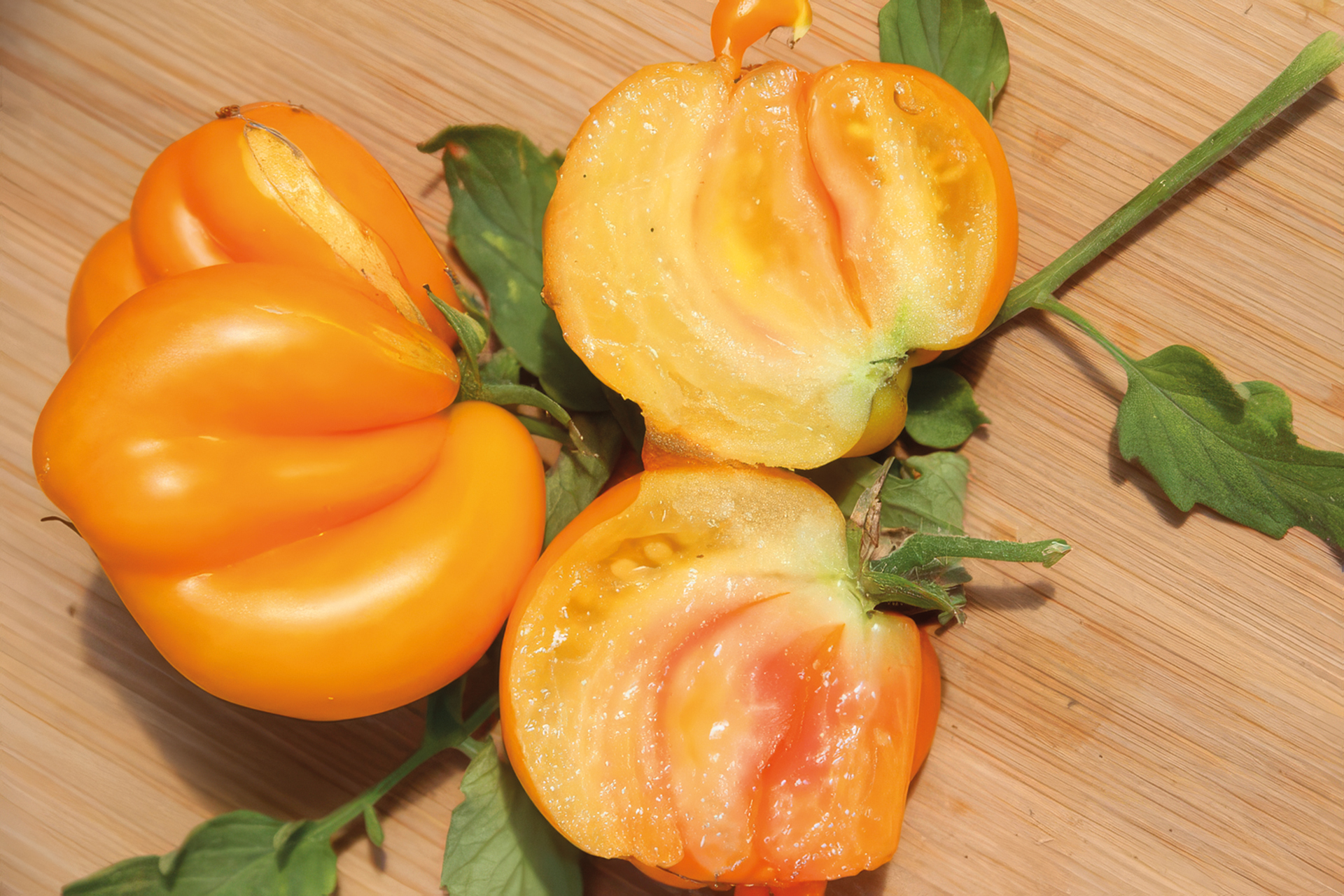 Balkontomate Phils 1 