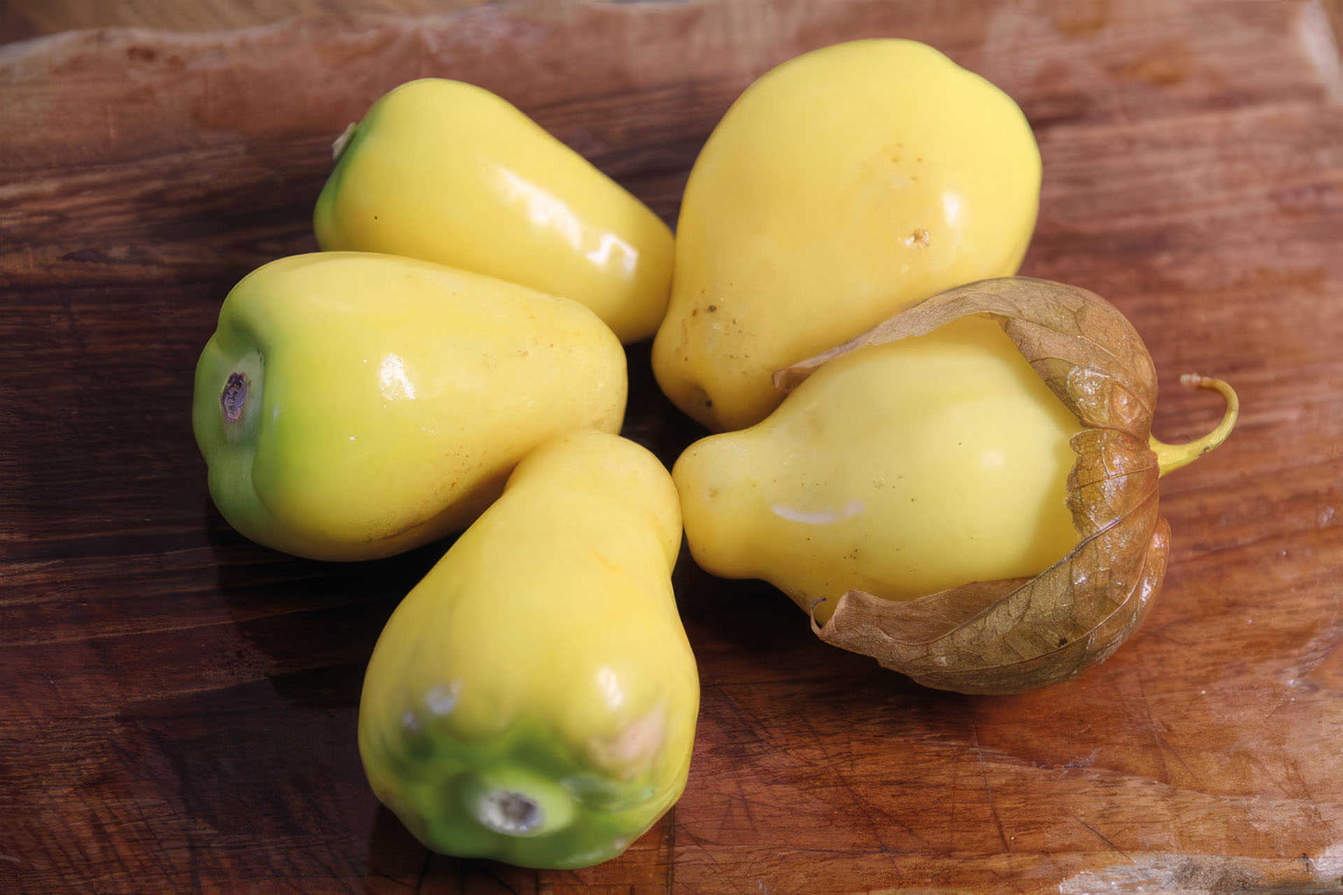 Tomatillo Queen of Malinalco