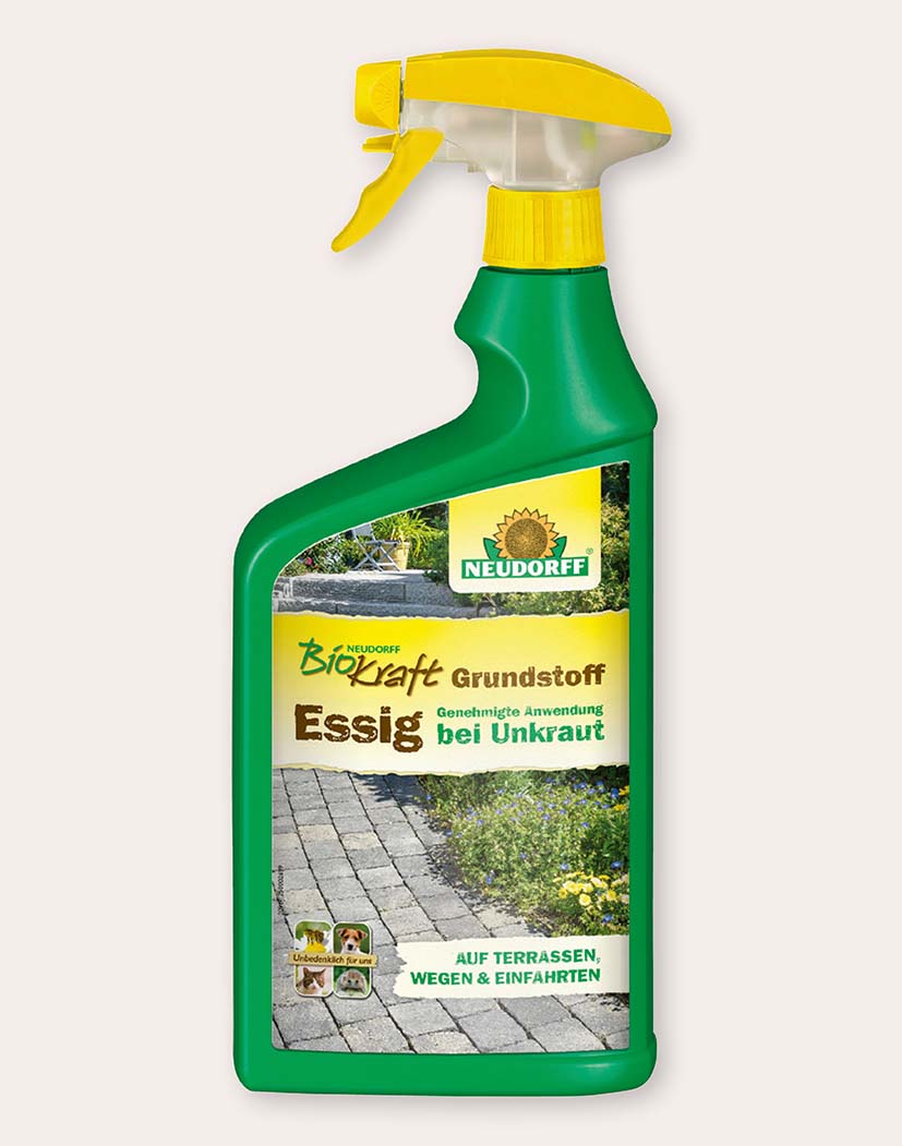 Neudorff BioKraft Essig Grundstoff Unkrautspray in grüner Flasche mit gelbem Sprühkopf, Anwendungsbereich: Terrassen, Wege und Einfahrten