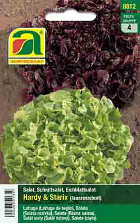 Saatgut-Packung mit Salatvarietäten 'Hardy & Starix', abgebildet grüner Eichblattsalat und dunkelroter Schnittsalat