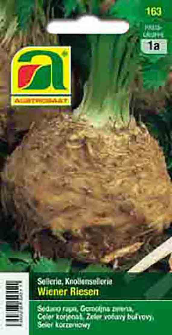Knollensellerie Wiener Riesen