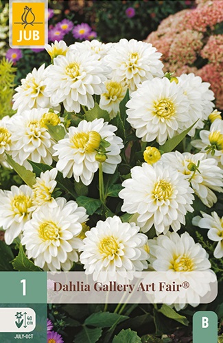 Gallery-Dahlie Art Fair
