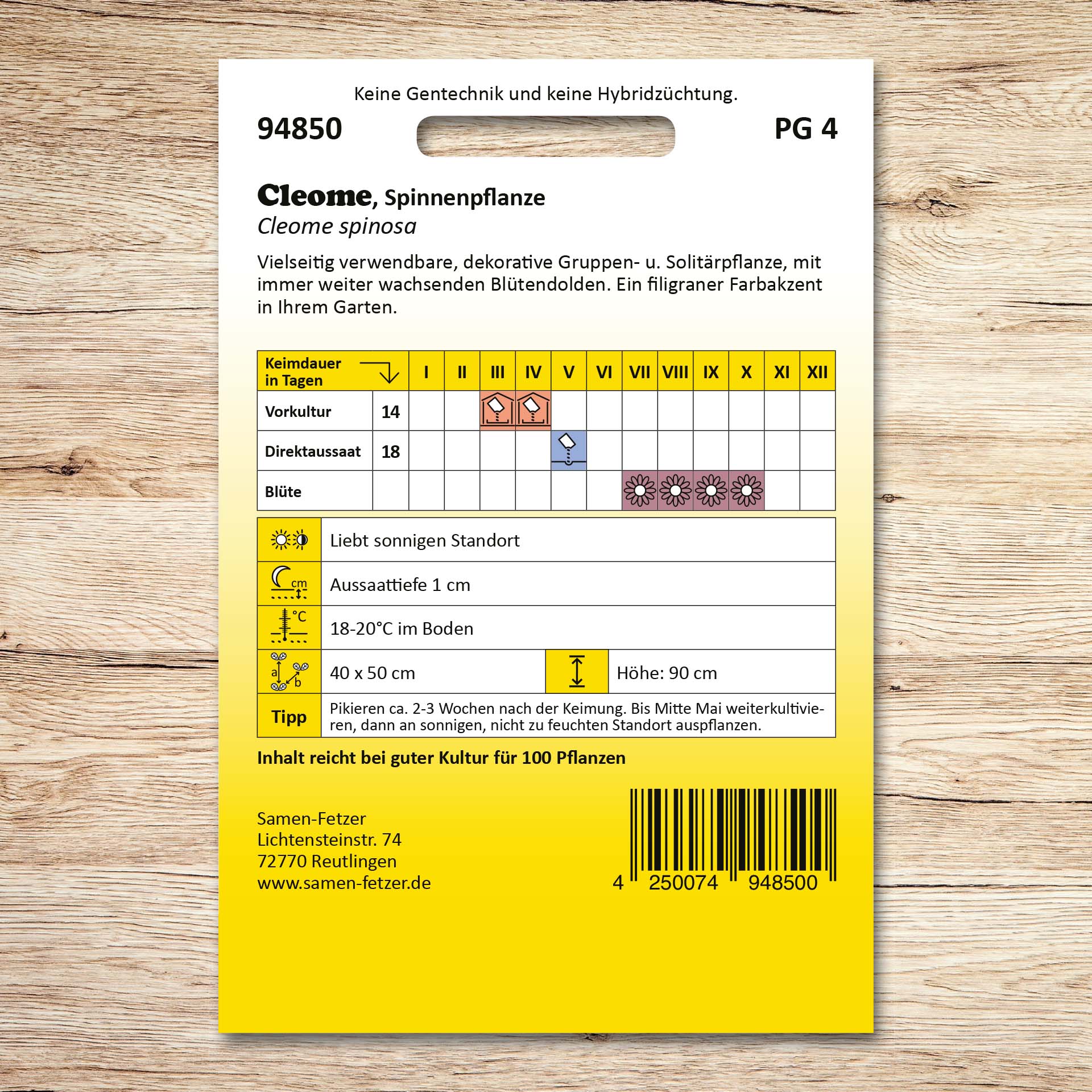 Rückseite der Samenpackung Spinnenpflanze Cleome (Cleome spinosa) von Samen-Fetzer mit Aussaatkalender, Standortangaben und Pflegehinweisen für rosafarbene Blütendolden im Garten