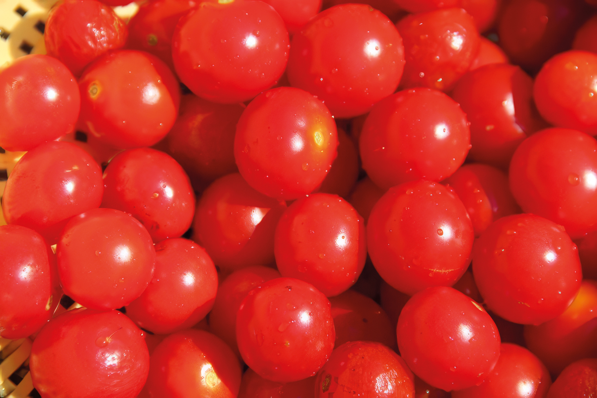 Balkontomate Bajaja