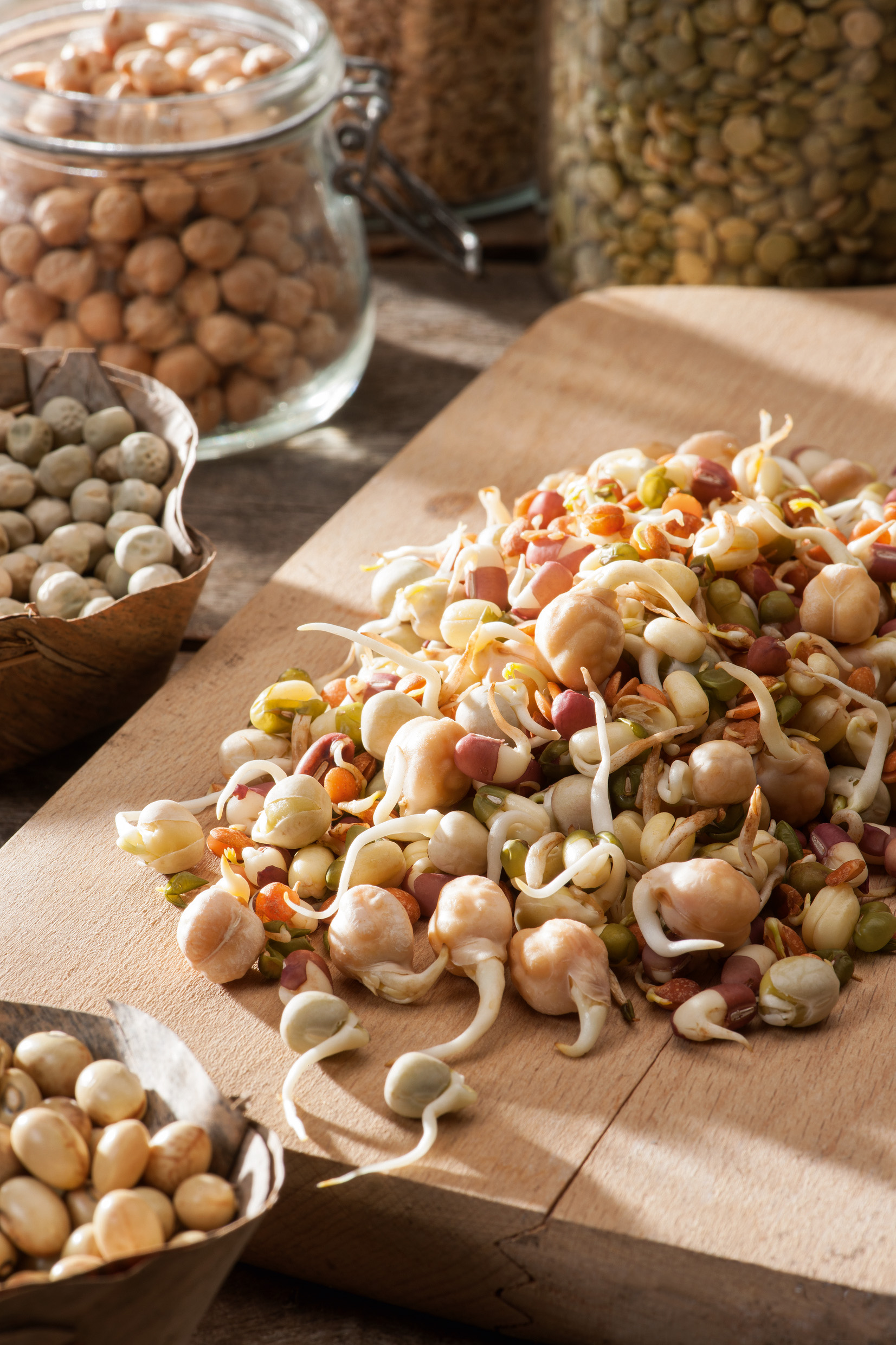 Frische Keimsprossen und gekeimte Hülsenfrüchte auf Holzbrett, passend zum Fetzers Keimsprossen Starter Set mit Bio Samen-Sortiment für Alfalfa, Mungo, Rettich Red Daikon, Senf und Lunja