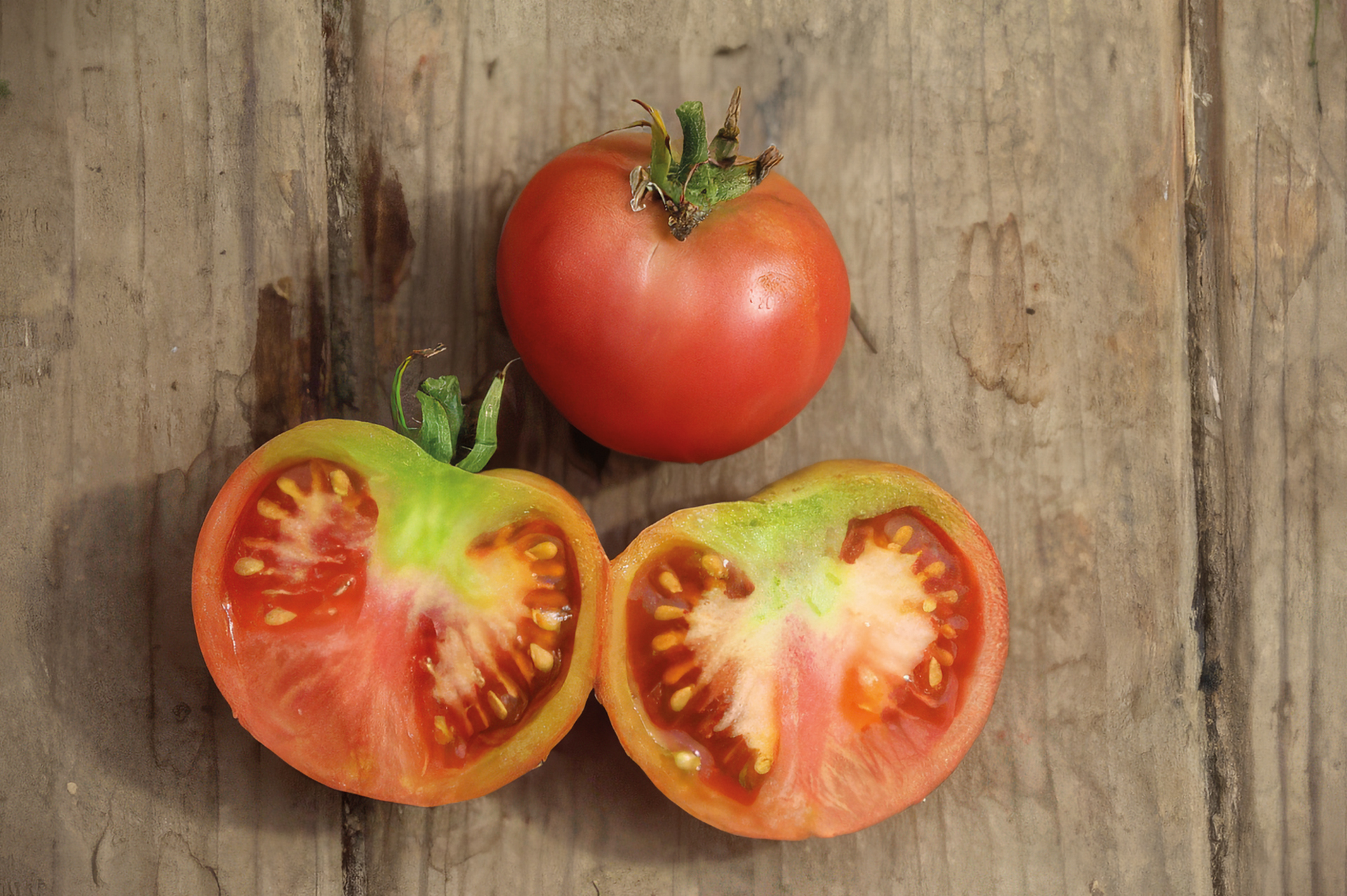 Tomate Pink Early