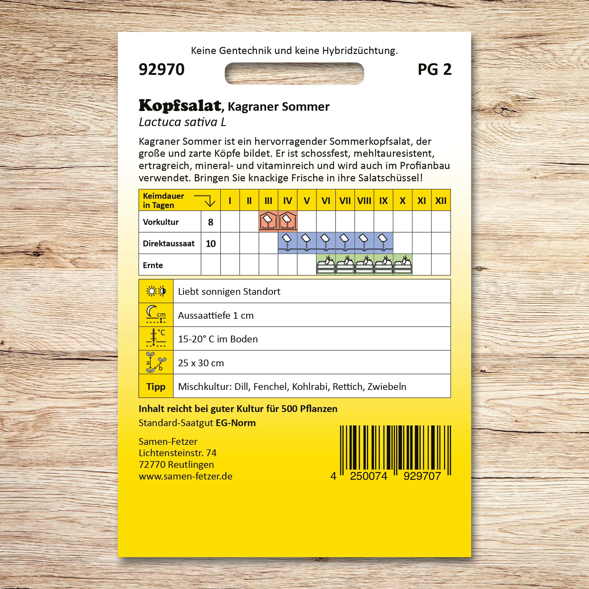 Rückseite der Samenpackung Kopfsalat Kagraner Sommer von Samen-Fetzer mit Aussaat- und Erntekalender, Anbauhinweisen für hitzebeständigen, schossfesten und mehltauresistenten Sommerkopfsalat.