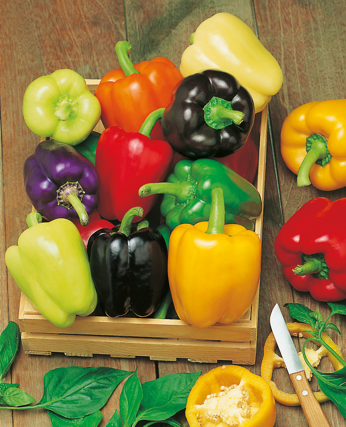 Mehrere bunte Paprika in einem hölzernen Kasten auf einem Holzuntergrund, darunter rote, gelbe, grüne, orange, lila und schwarze Paprika; neben einem Messer und einer aufgeschnittenen gelben Paprika